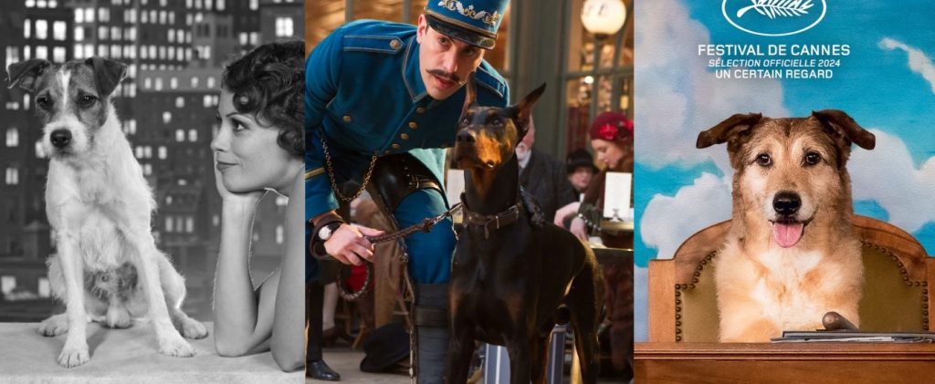 Pimpão: como pet ator virou parte da família em ‘Ainda Estou Aqui’
