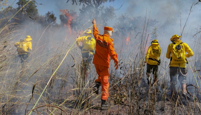 Tocantins perdeu mais de 800 mil hectares com queimadas em 2025