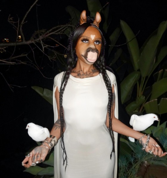HorsegiirL: DJ ‘metade cavalo, metade humana’ vem a galope para o Lollapalooza